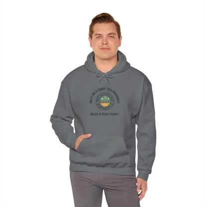 Beach Lovers Hoodie: Salty Air & Salty Toes University Sweatshirt