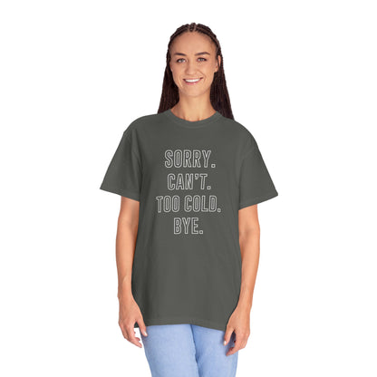 Winter Graphic Funny T-Shirt Sorry Can't Too Cold Bye Shirt