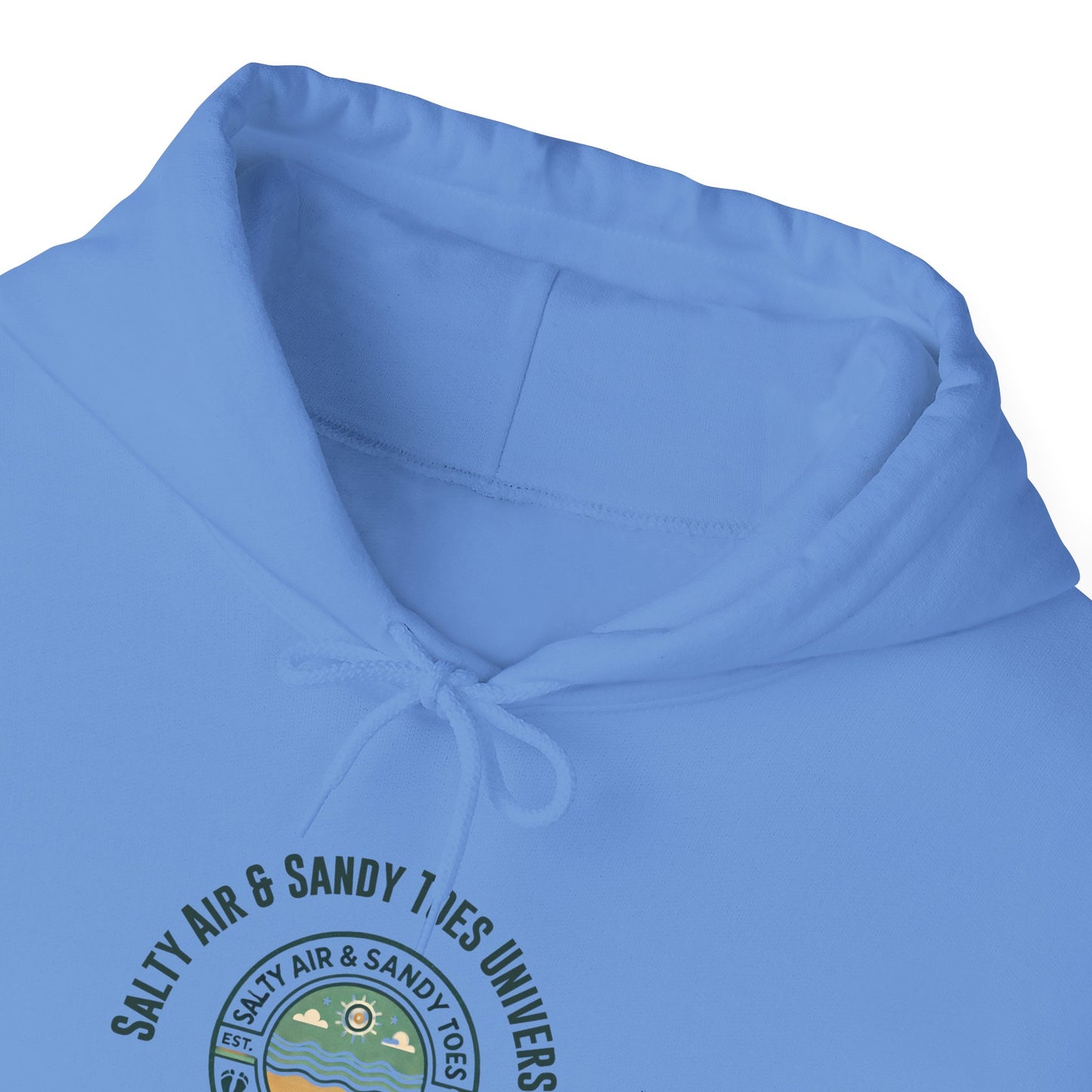 Beach Lovers Hoodie: Salty Air & Salty Toes University Sweatshirt