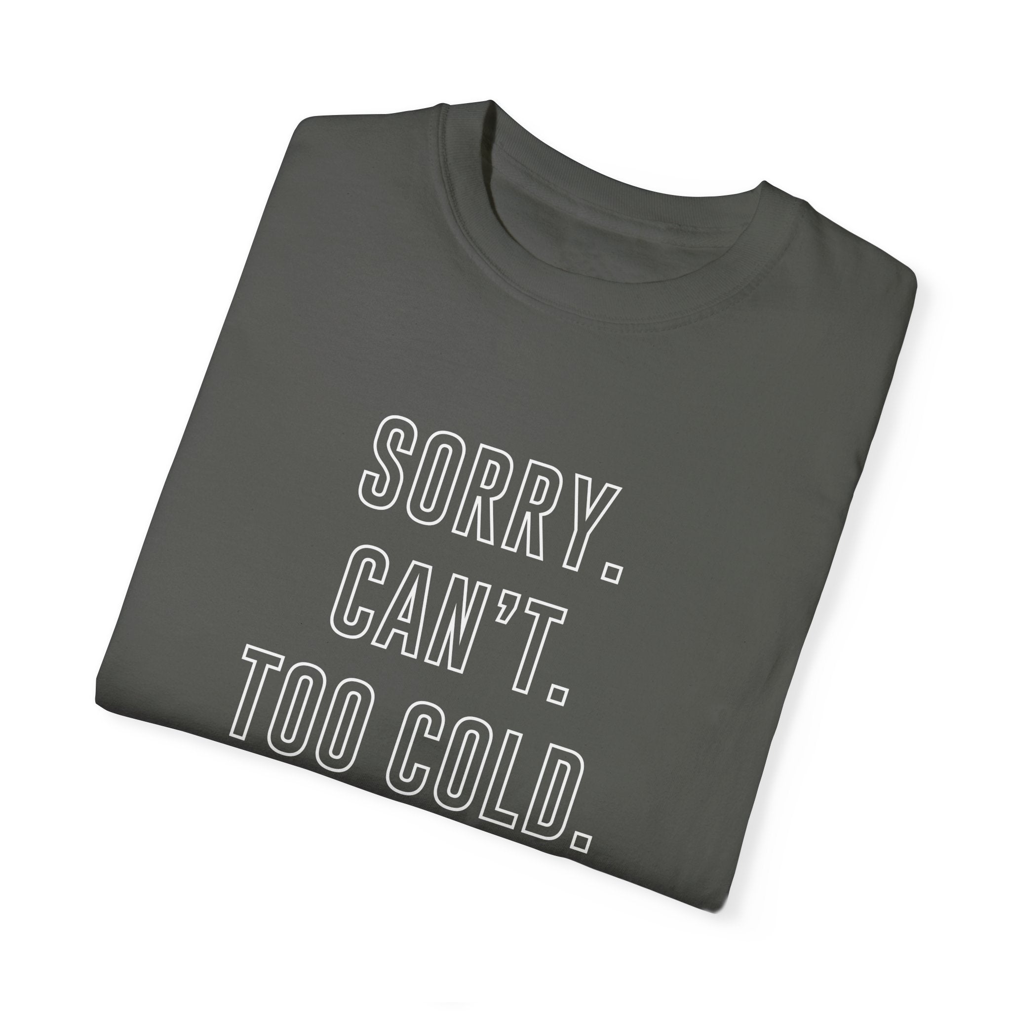 Winter Graphic Funny T-Shirt Sorry Can't Too Cold Bye Shirt