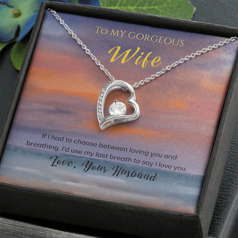 Gift To My Wife: 'Last Breath' Heart Necklace A Love That Lasts Forever