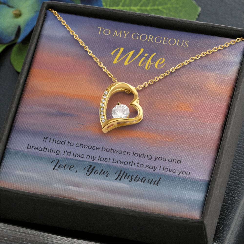 Gift To My Wife: 'Last Breath' Heart Necklace A Love That Lasts Forever